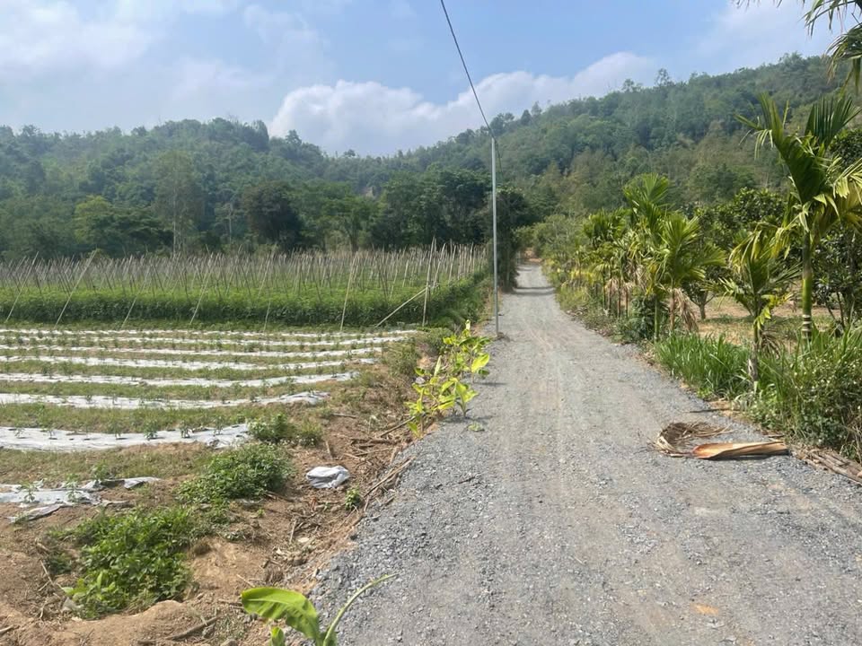 Đất thổ cư 2400m² tại Ea Bhok, Cư Kuin chỉ 1.85 tỷ - Cơ hội đầu tư tuyệt vời!