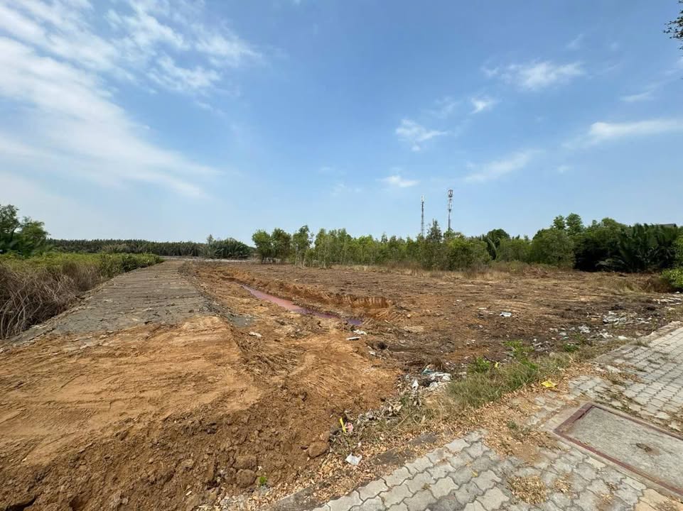 Đất thổ cư 4205m² Mặt Tiền Nguyễn Văn Tạo, Nhà Bè 210 tỷ - Đầu tư sinh lời cao!