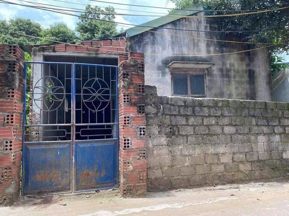 Bán đất tặng nhà cấp 4 tại ngõ Bà Mít, Hạ Lầm, 88m² - Giá chỉ 1.4 tỷ!