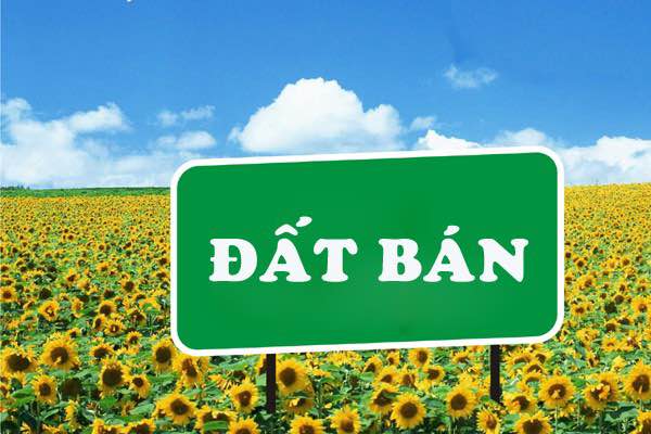 Đất nền kinh doanh Yên Thế, Nam Định 73.8m² giá 2.5 tỷ - Ô tô đỗ cửa!