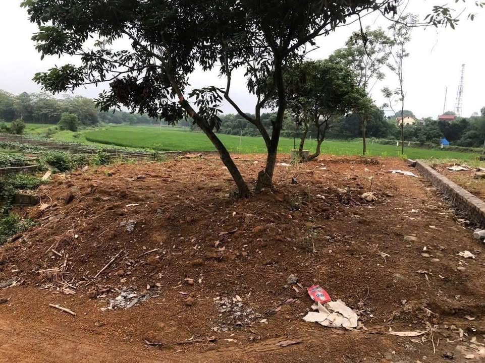 Đất nền Thủy Xuân Tiên 151m² giá 870 triệu - Lô góc, sổ đỏ chính chủ!