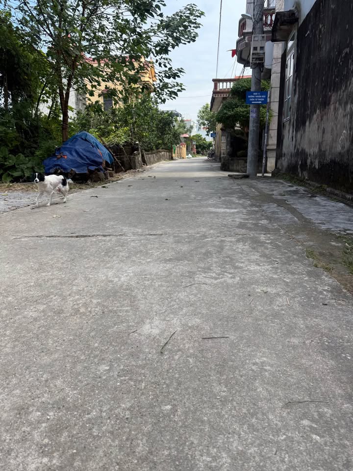 Đất Thụy Phú, Phú Xuyên 114m² giá 3 tỷ - Kinh doanh sầm uất!