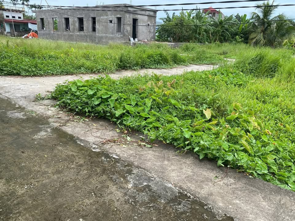 Đất nền lô góc Trung Trang, An Trường 64,4m² - Tiềm năng tăng giá cao!