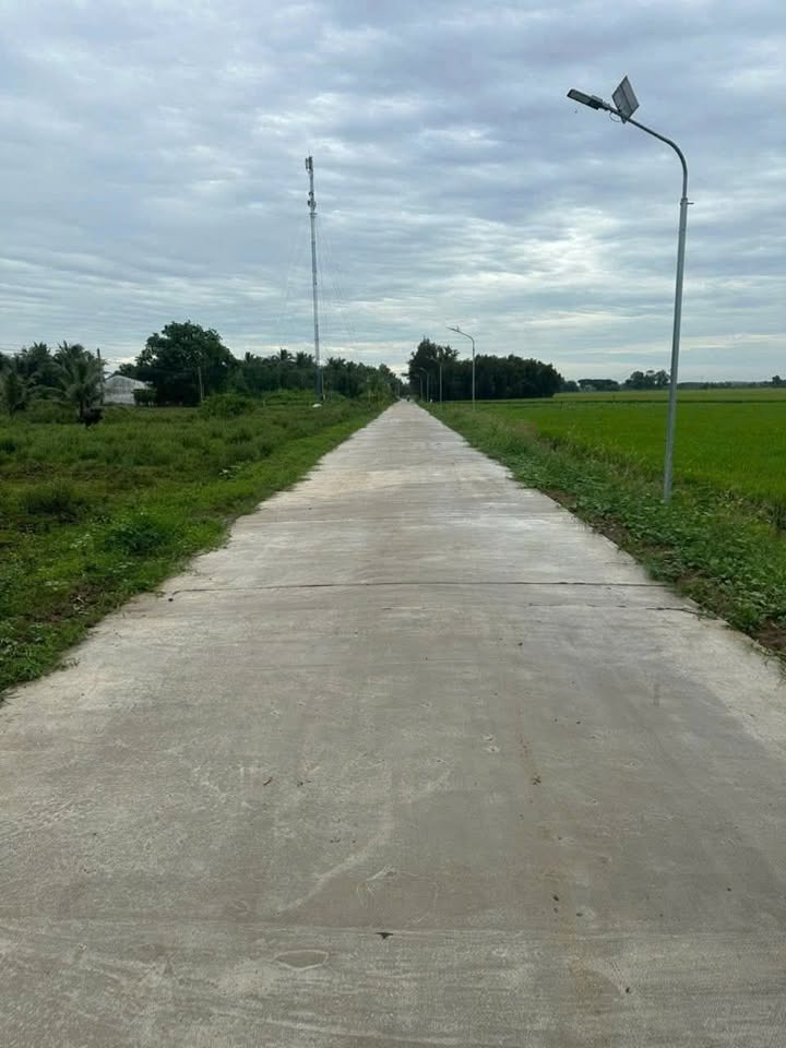 Đất mặt tiền lộ đal Tham Đôn, Mỹ Xuyên 1155m² giá chỉ 330 triệu - Cơ hội đầu tư hiếm có!