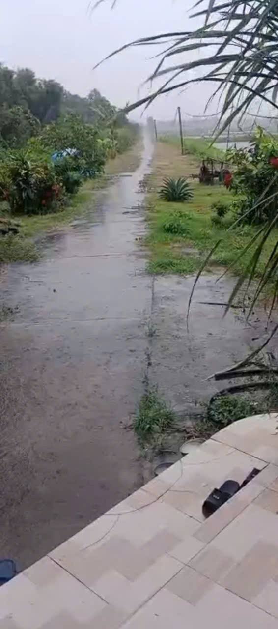 Đất nông nghiệp mặt tiền đường ĐAL 18.000m² tại Vĩnh Hải - Cơ hội đầu tư hấp dẫn!