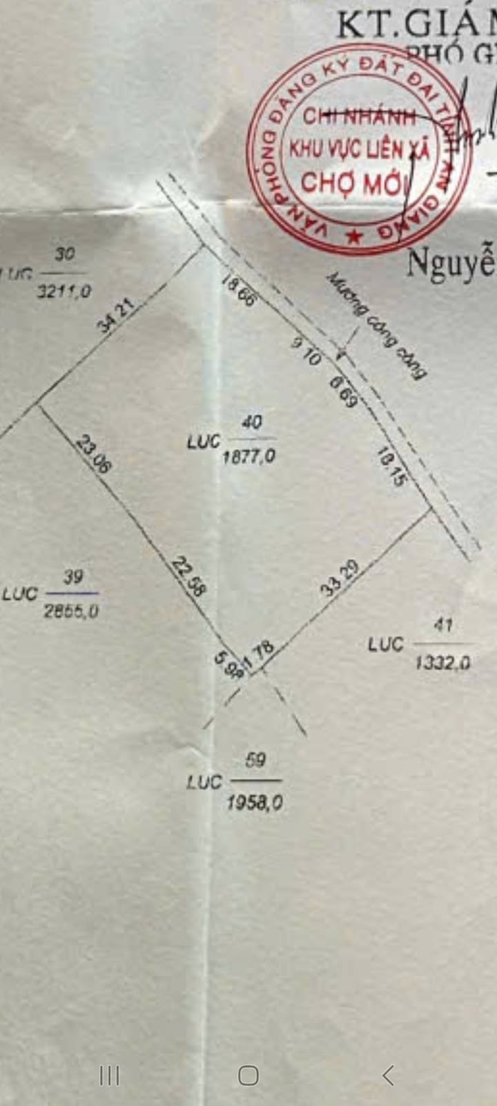 Đất lúa 1877m² xã Chợ Mới An Giang giá 300 triệu - Gần mặt tiền đường