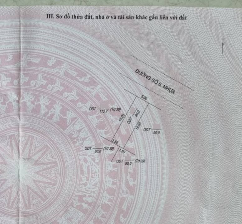 Đất nền KDC Chợ Cái Sao, Mỹ Thới 113m² - Mặt tiền đường số 6, vị trí đắc địa!