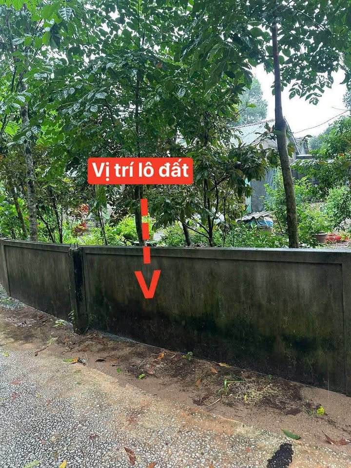 Đất kiệt ô tô 109 Minh Mạng, Thủy Xuân 100m² giá 1.6 tỷ - Đầu tư sinh lời cao!