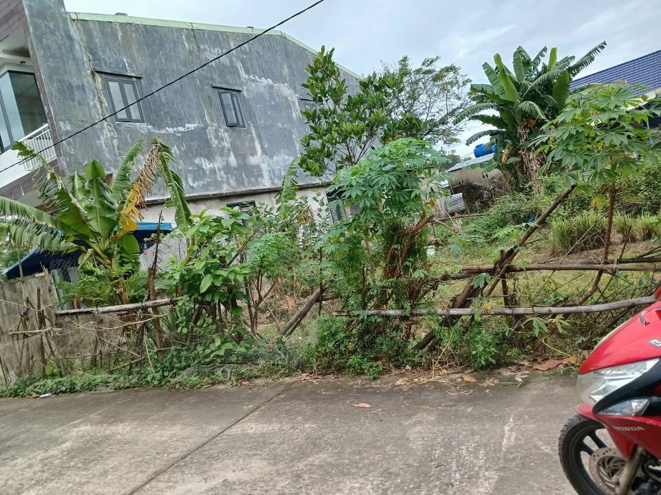 Đất nền Hòa Khương, Đà Nẵng 138m² giá 1.2 tỷ - Cơ hội đầu tư hấp dẫn!