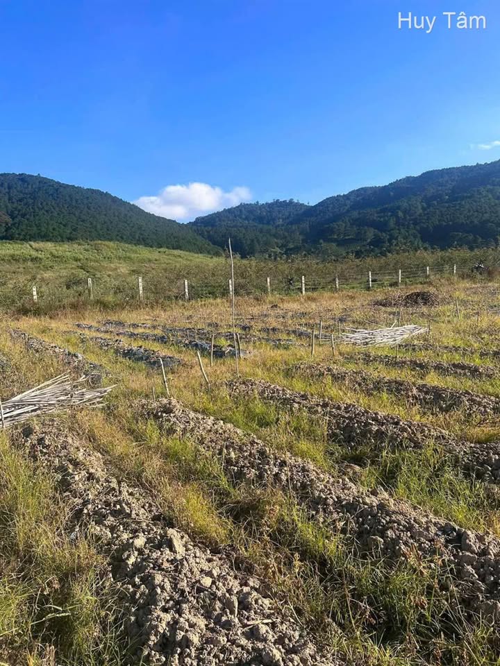 Đất nền Quảng Lập Đơn Dương 2300m² giá 850 triệu - Pháp lý sổ riêng an toàn!