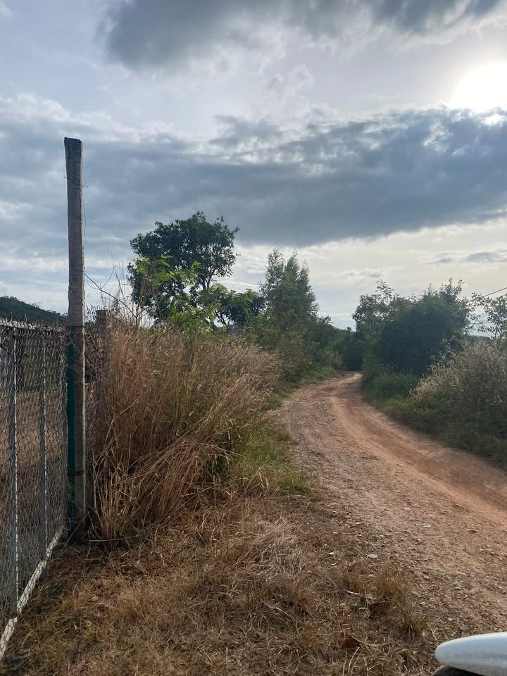 Farm đất đẹp Cư Mốt 20,000m² giá 2 tỷ - Đầu tư sinh lời tốt!