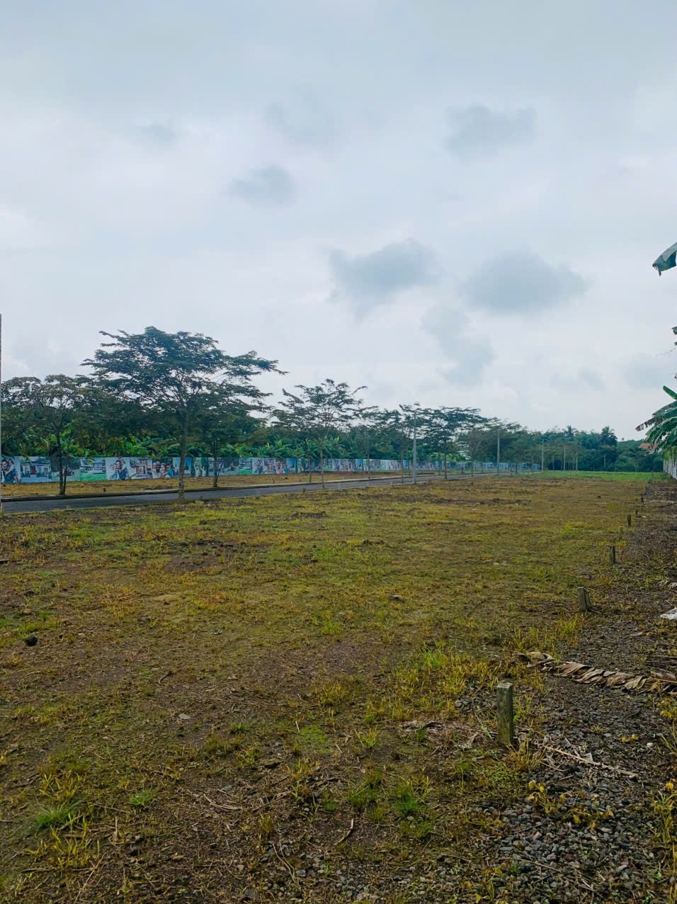 Đất thổ cư Bàu Hàm 100m² chỉ từ 35 triệu/m² - Sổ hồng sẵn, vị trí đắc địa!