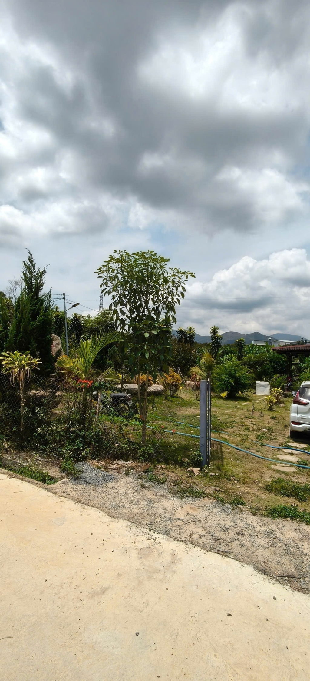 Đất nền tại Quốc Lộ 55, Lộc Nam, Bảo Lâm 200m² giá chỉ 600 triệu - Cơ hội đầu tư tuyệt vời!