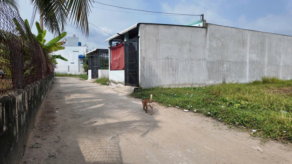 Bán đất Mặt Tiền đường bê tông xã Đức Hòa Hạ, 135m² giá 1.35 tỷ - Đầu tư sinh lời lý tưởng!