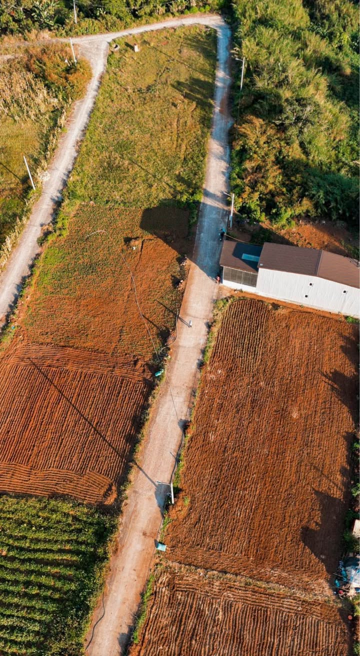 Đất nền Liên Nghĩa 110m² giá 1.5 tỷ - Gần sân bay Liên Khương!