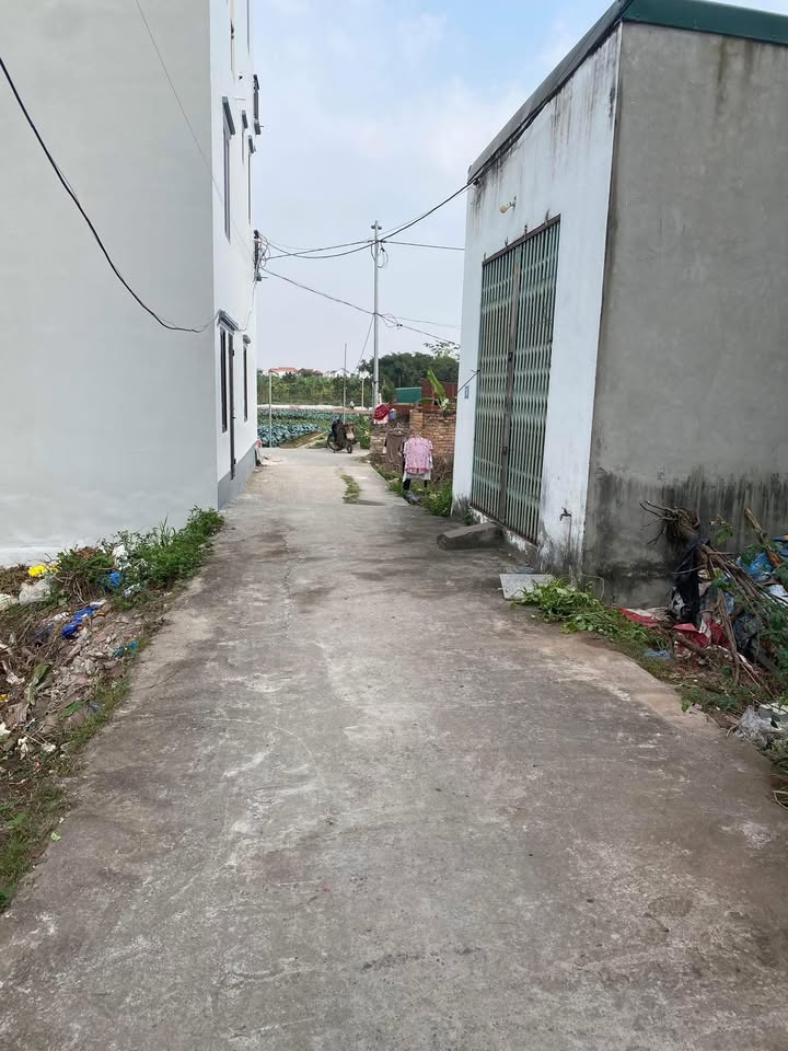 Đất nền Đặng Xá 41m² giá 3.7 tỷ - Ngõ ô tô, tiện ích đầy đủ!