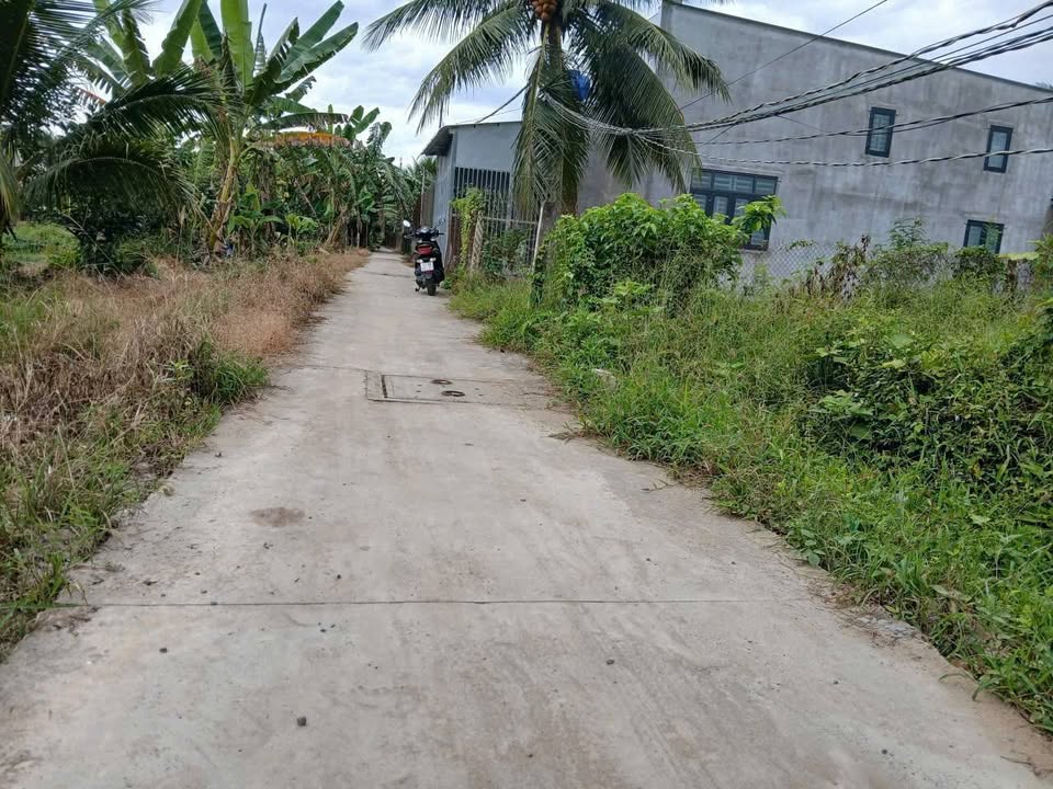 Đất nền Tân My Chánh 79m² giá chỉ 490 triệu - Cơ hội đầu tư hấp dẫn!