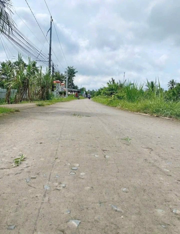 Đất vườn 22.000m² tại Trung Thành, Vĩnh Long giá 9.02 tỷ - Cơ hội đầu tư sinh lời!