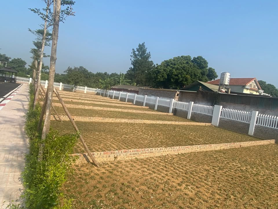 Đất thổ cư Minh Phú, Sóc Sơn 100m² - Đầu tư sinh lời nhanh chỉ 2x!