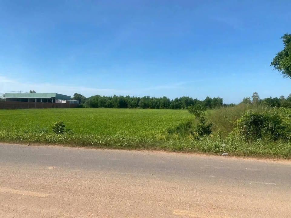 Đất mặt tiền ĐT 781 xã Thành Long 3700m² - Giá tốt, vị trí đẹp!