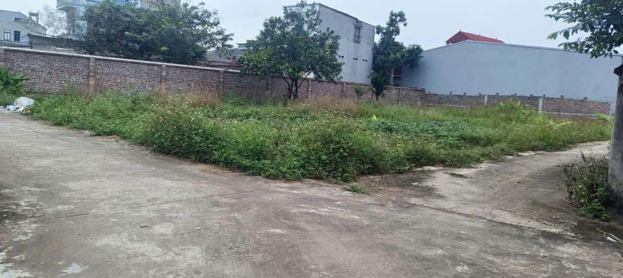 Đất nền Hương Mai - Việt Yên 101m² giá 900 triệu - Đường ô tô thông thoáng!