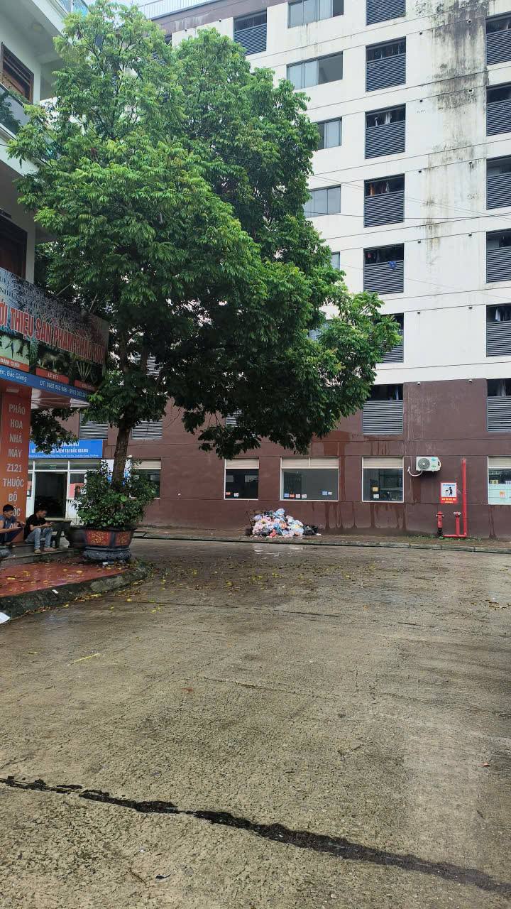 Đất dịch vụ Tăng Tiến, Việt Yên 72m² giá 3 tỷ - Đầu tư sinh lời hấp dẫn!