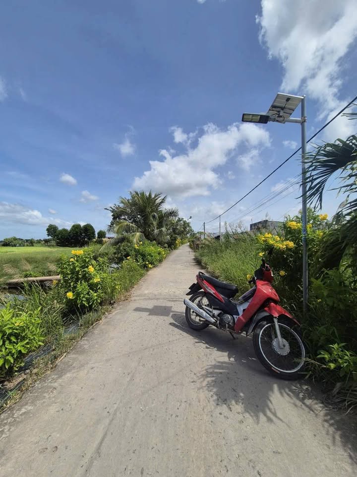 Đất nền Bạc Liêu 168m² giá 250 triệu - Cơ hội đầu tư tuyệt vời!