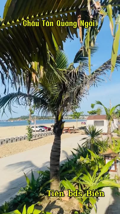 Đất nền Bình Châu Quảng Ngãi 200m² giá 1.279 tỷ - Đầu tư sinh lời ngay!