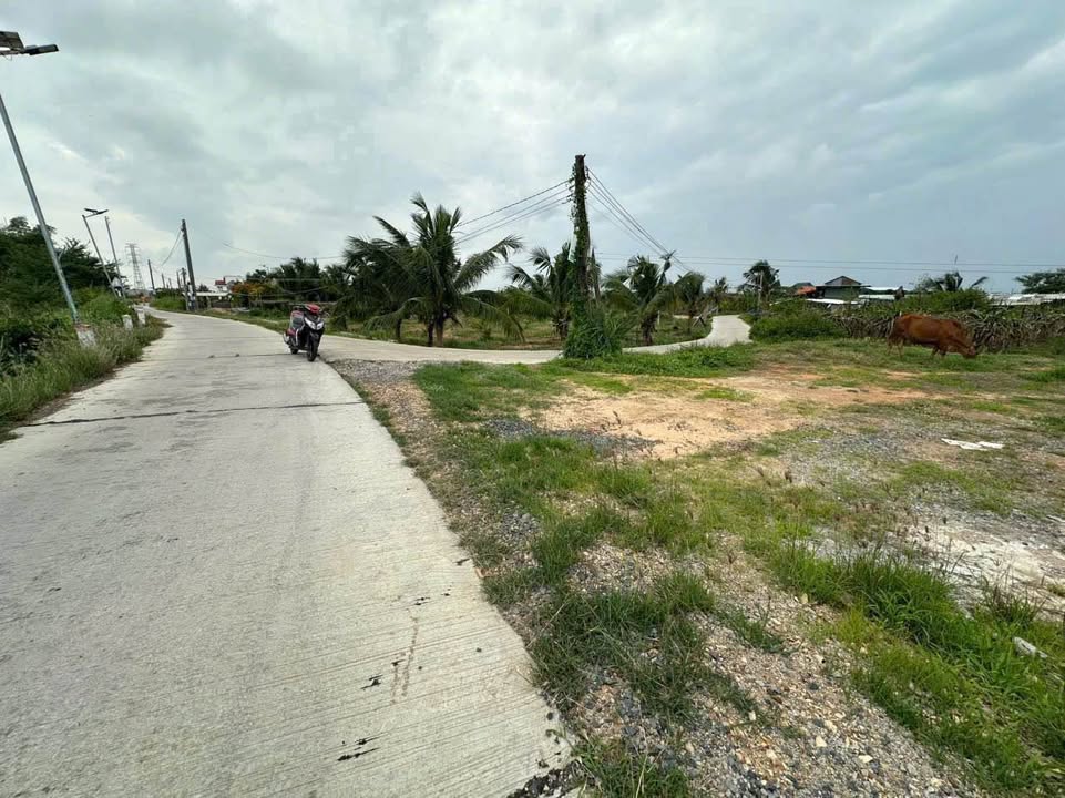 Đất thổ cư 160m² góc 2 mặt tiền tại Hàm Liêm - Hạ giá 250 triệu chỉ còn 1.1 tỷ!