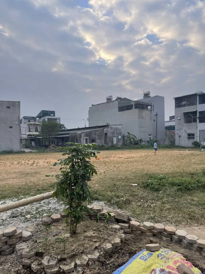 Đất mặt bằng Quảng Hưng 117.5m² giá 4 tỷ - View công viên tuyệt đẹp!