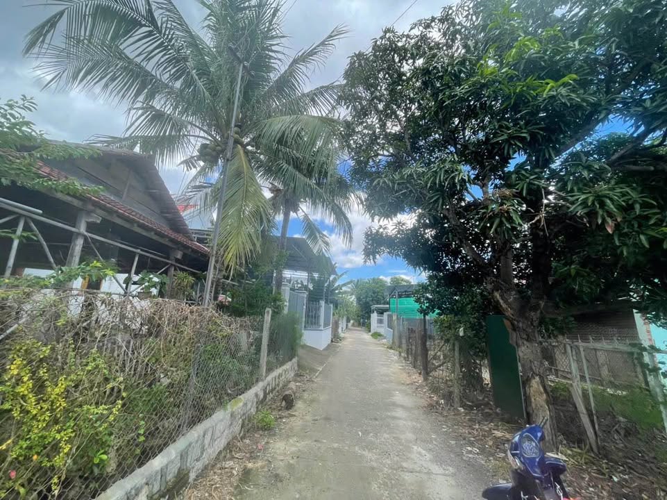 Đất nền Diên Phú 573m² giá chỉ 4.01 tỷ - Cơ hội vàng cho đầu tư!