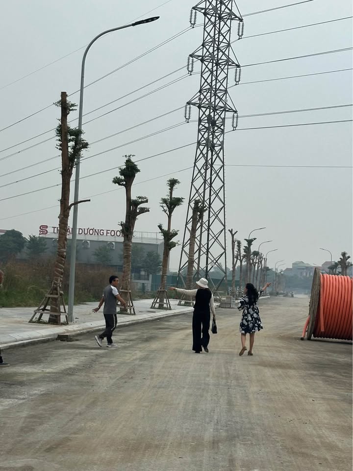 Bán đất 85m² tại Phú Gia, Mỹ Hào - Giá chỉ 6.46 tỷ, chính chủ cần bán gấp!