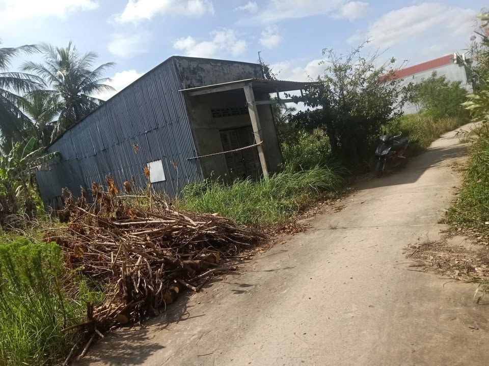 Nhà đất Tân Mỹ, Ba Tri, Bến Tre 75m² giá 280 triệu - Cơ hội sở hữu ngay!