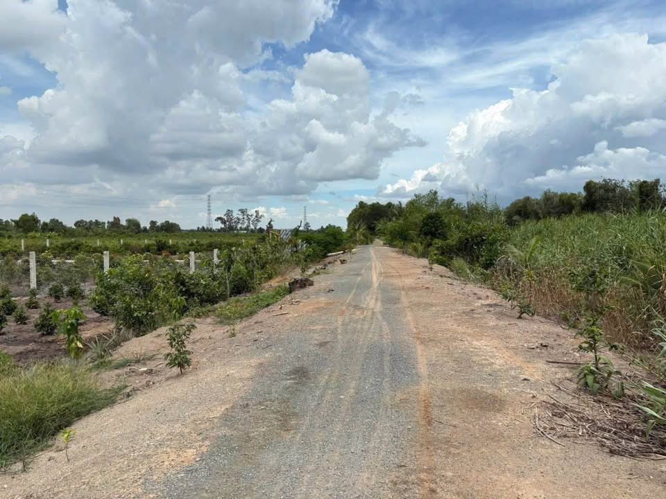 Đất vườn 507m² tại ấp 1 Bình Đức, Bến Lức - Giá chỉ 390 triệu!