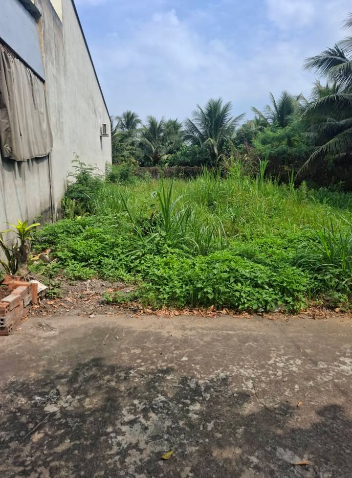 Đất nền Mỹ Phong, Tiền Giang 115m² giá 600 triệu - Đầu tư sinh lời ngay!