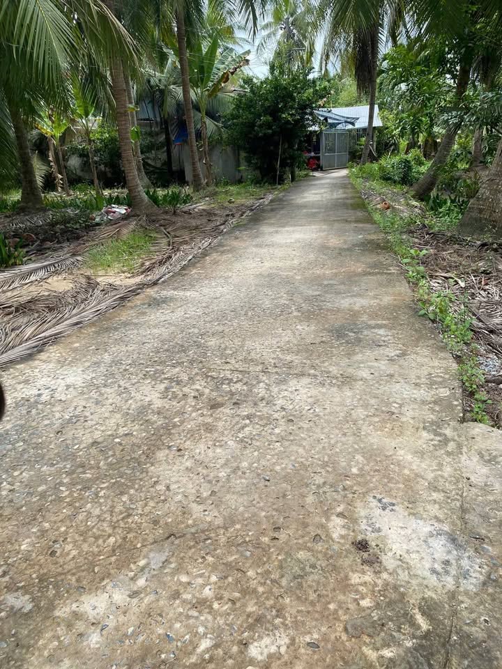 Đất vườn Nhơn Thạnh 931m² giá 931 triệu - Thích hợp đầu tư sinh lời!