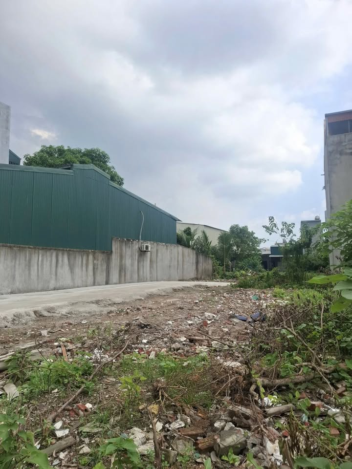 Đất mặt ngõ 4 Trương Hán Siêu, Nhị Châu, Hải Dương 50m² - Giá 1.6 tỷ, pháp lý chuẩn!