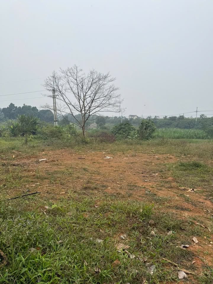 Đất nền Yên Bài, Ba Vì 1545m² giá 9.63 tỷ - Đầu tư sinh lời cao!