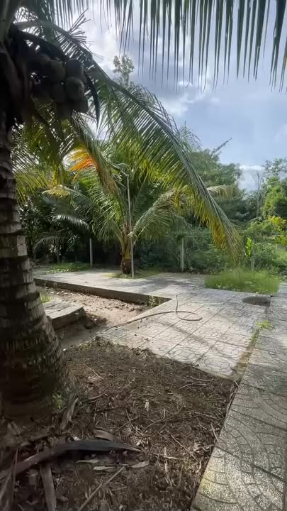 Đất nghỉ dưỡng Giai Xuân, Phong Điền 1.700m² giá 3.1 tỷ - Cần chốt gấp!