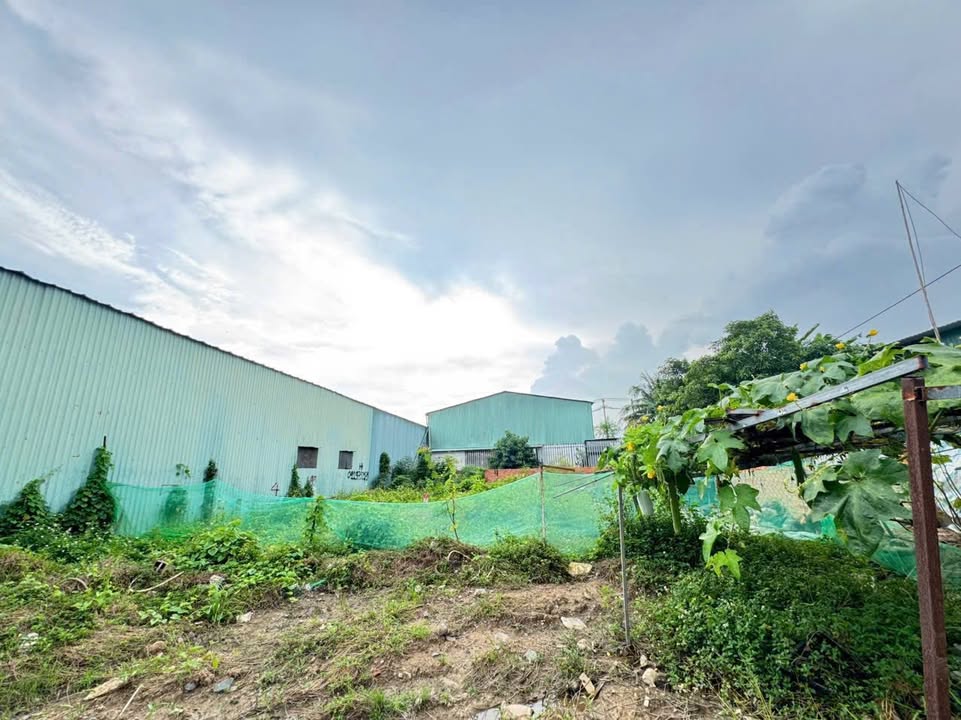 Đất Ngã 3 Long Thuận, 63m² giá 2 tỷ - Chính chủ bán gấp!