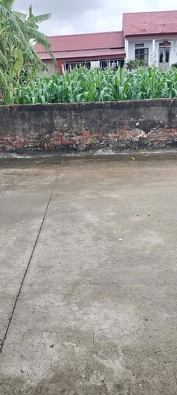 Đất nền xã Nghĩa Lâm, huyện Nghĩa Hưng, 100m² giá thỏa thuận - Vị trí đắc địa, dân cư đông đúc!