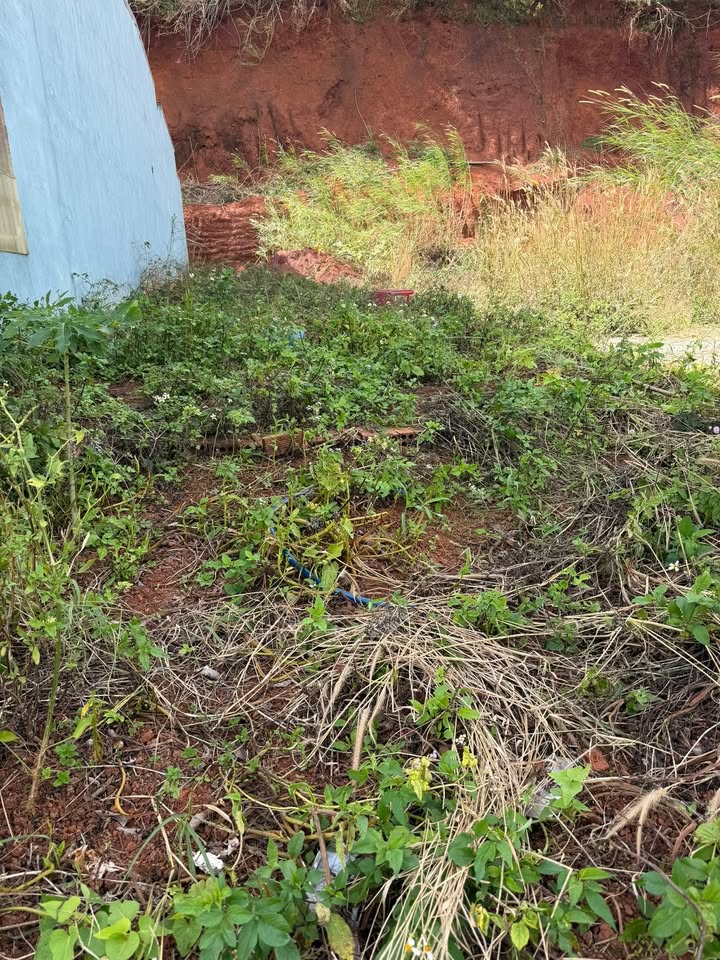 Đất thổ cư 280m² tại xã Đức An, Đắk Song - Giá chỉ 1.55 tỷ, view đẹp!