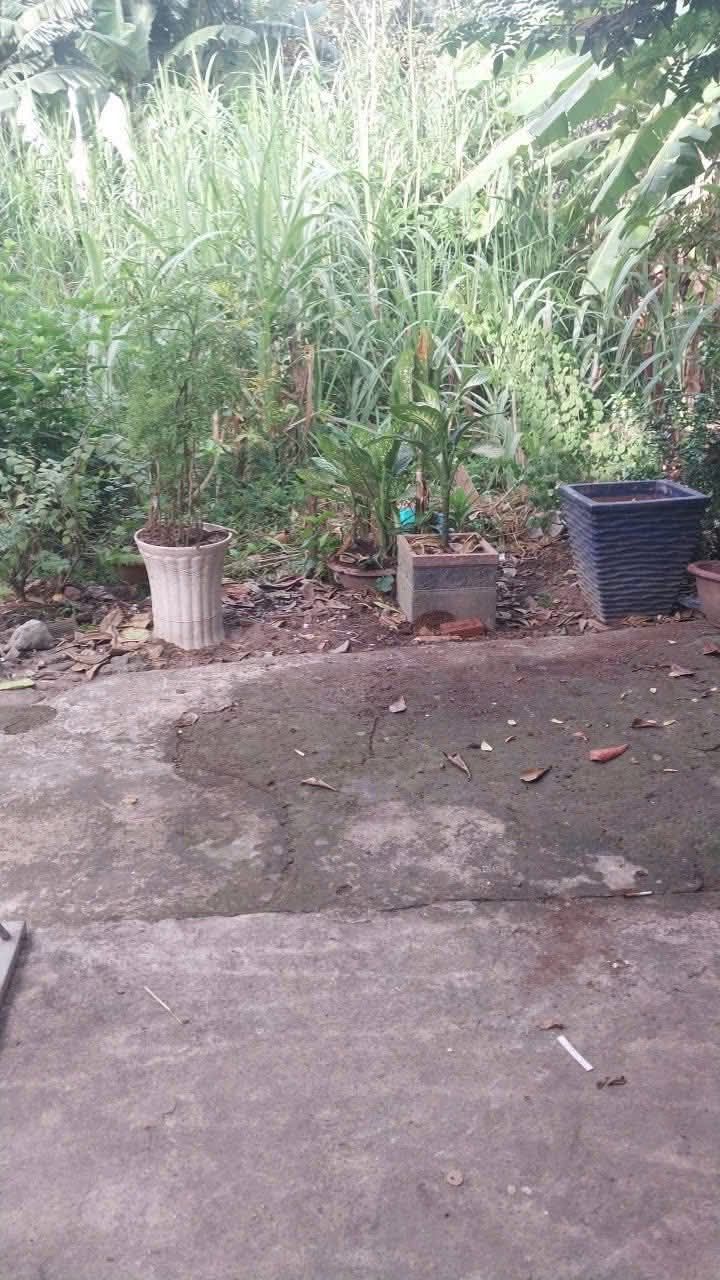 Đất nền chợ Điều Long Bình 65m² giá 750 triệu - Cơ hội đầu tư tuyệt vời!