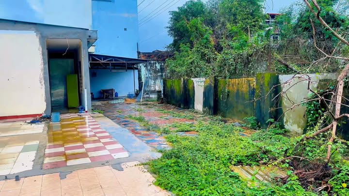 Đất nền mặt tiền đường Lạc Long Quân 650m² giá 7.9 tỷ - Cơ hội đầu tư tuyệt vời!