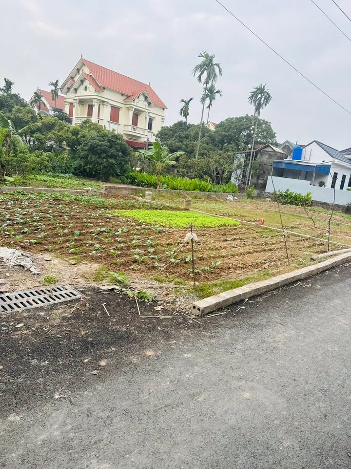 Đất nền Phường Hồng Châu, Hưng Yên 78m² giá chỉ 1 tỷ - Cơ hội đầu tư tuyệt vời!