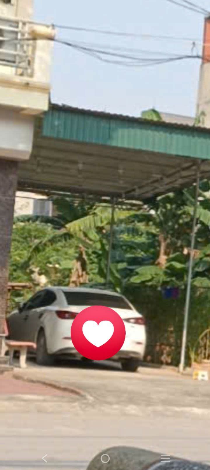 Đất nền phường Bích Đào, Ninh Bình 80m² - Hướng Nam, giá tốt đầu tư!