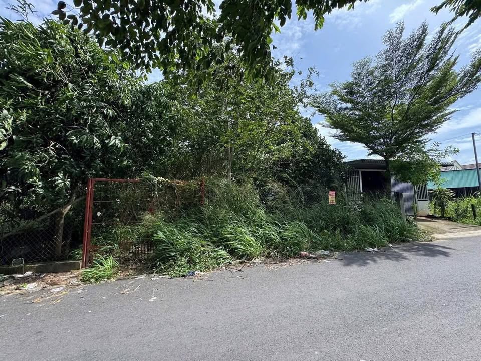 Đất mặt tiền Phú An, Bến Cát 588m² giá chỉ 3 tỷ - Đầu tư sinh lời ngay!