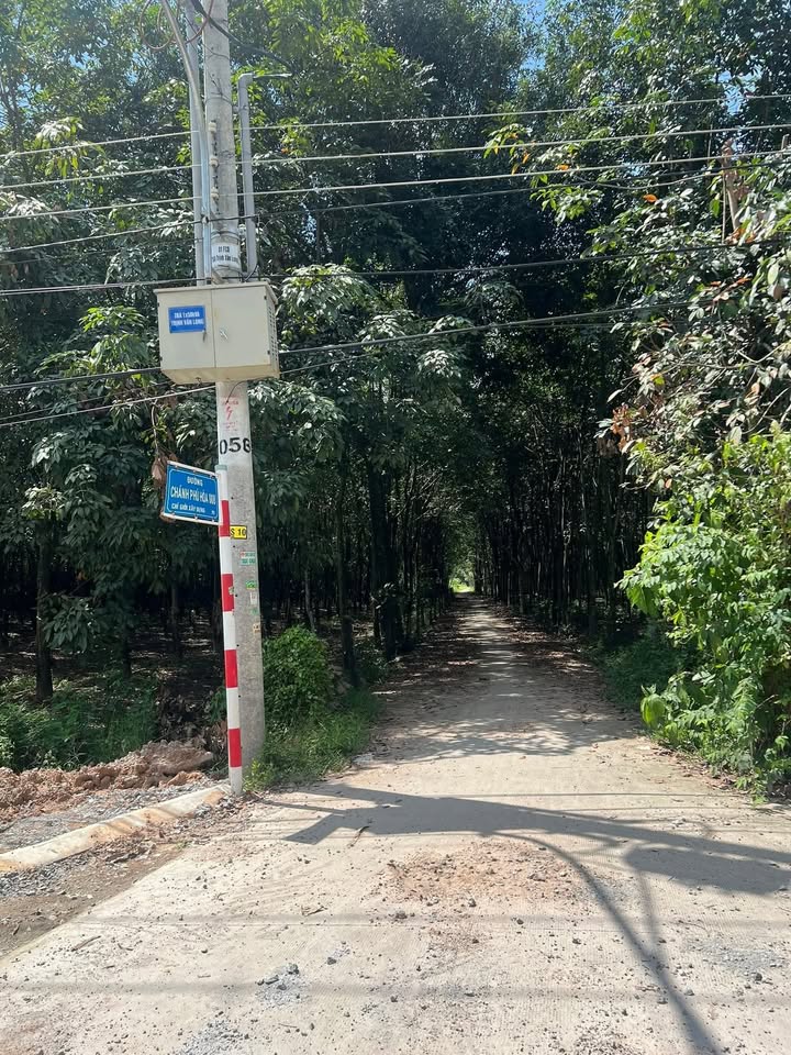 Đất nền Chánh Phú Hòa, Bến Cát 2668m² giá 5.9 tỷ - Cơ hội đầu tư hấp dẫn!