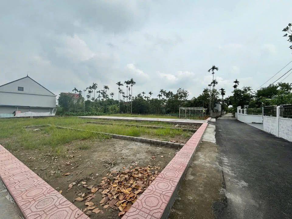 Đất nền ven KCN Tràng Duệ 3, An Trường 60m² giá 800 triệu - Đầu tư sinh lời ngay!