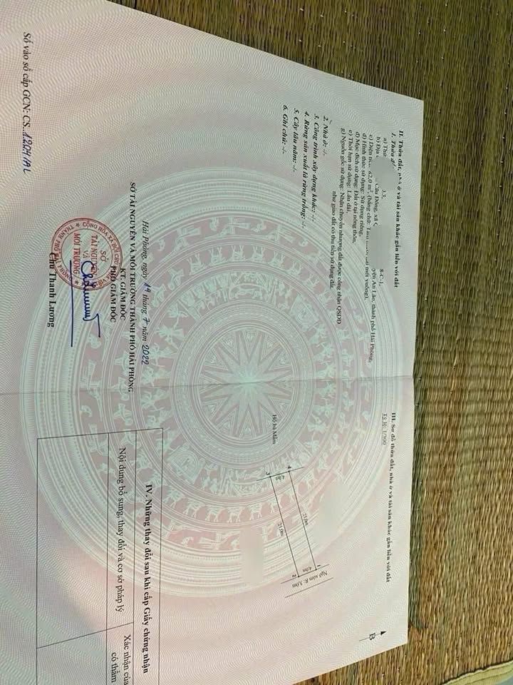 Đất nền Câu Đông, Quang Trung, An Lão 82m² giá 600 triệu - Đường ô tô vào tận nơi!